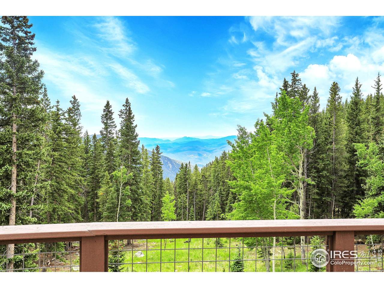 1176 Raven Ridge Rd - Photo 1