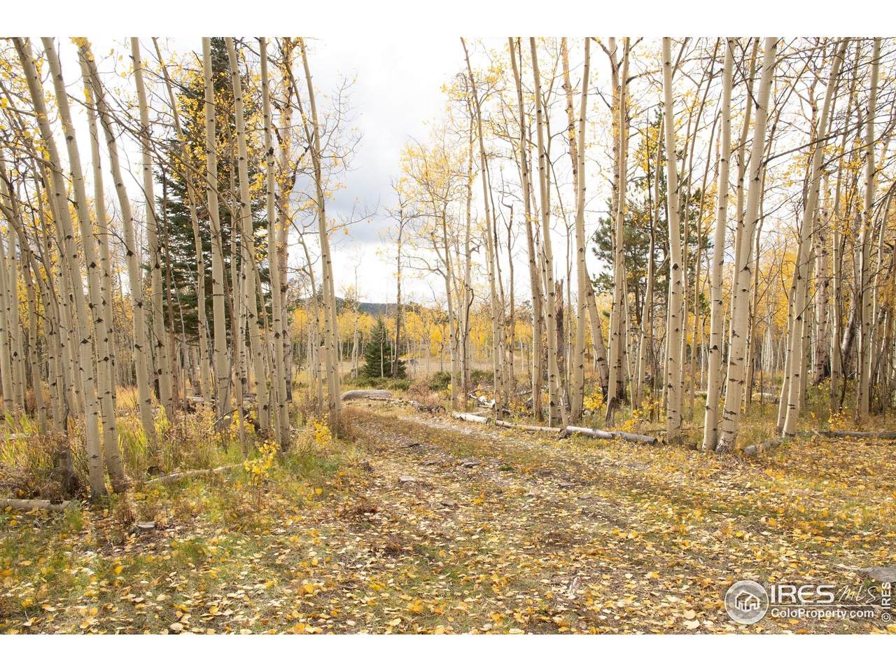 411 Tesuque Trl - Photo 1