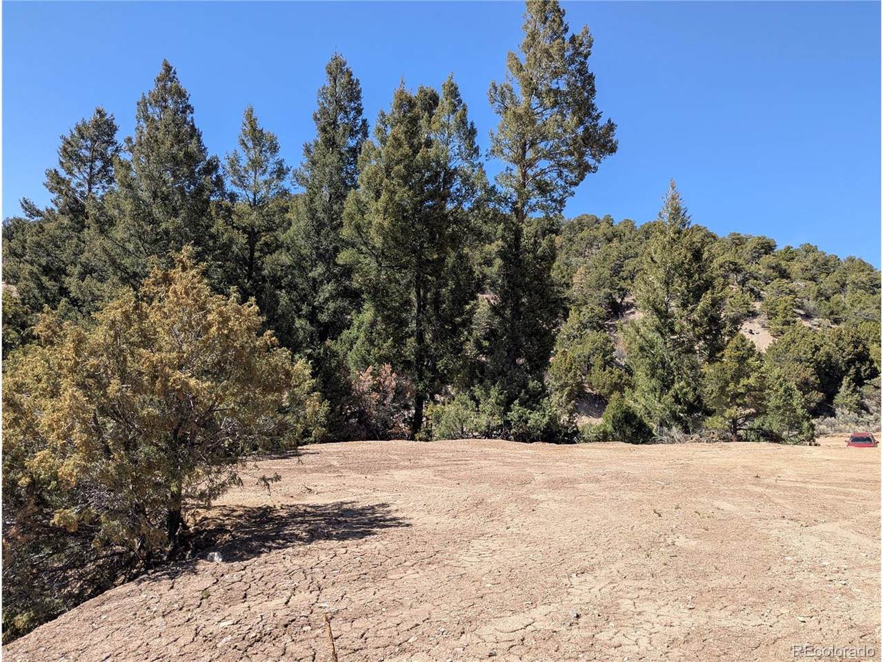 1593 Jaidi Rd - Photo 1