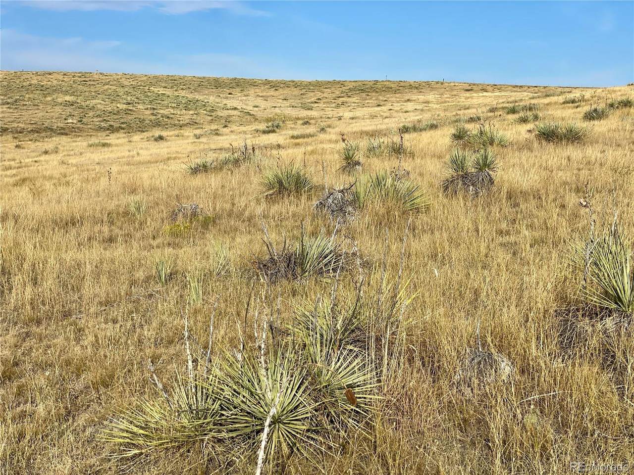  County Road 109 - Photo 1