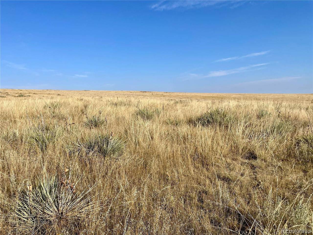  County Road 109 - Photo 1