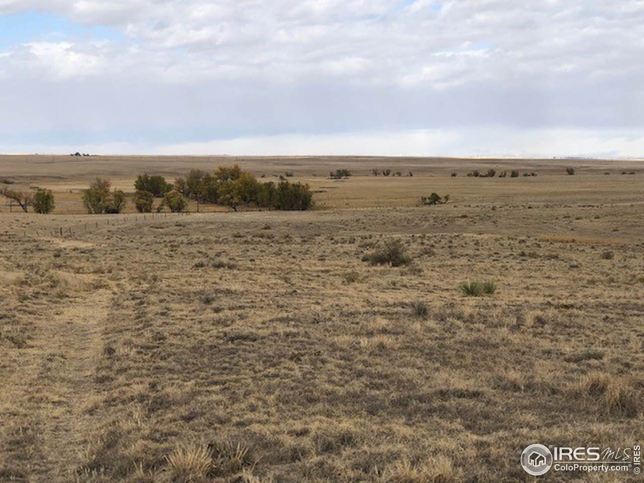 40 Acres County Road 77 - Photo 1