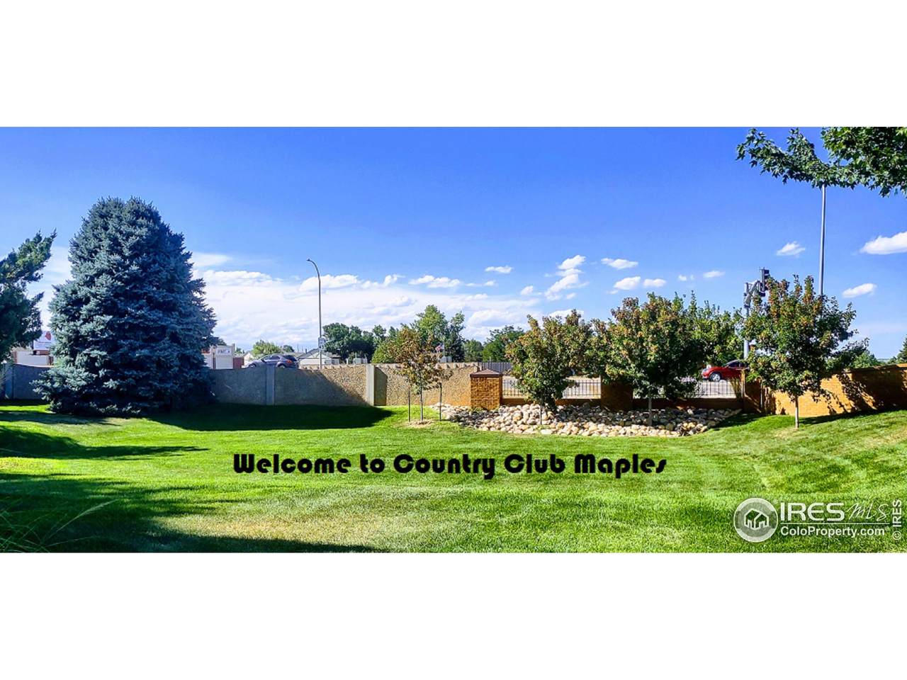 1001 43rd Ave - Photo 1