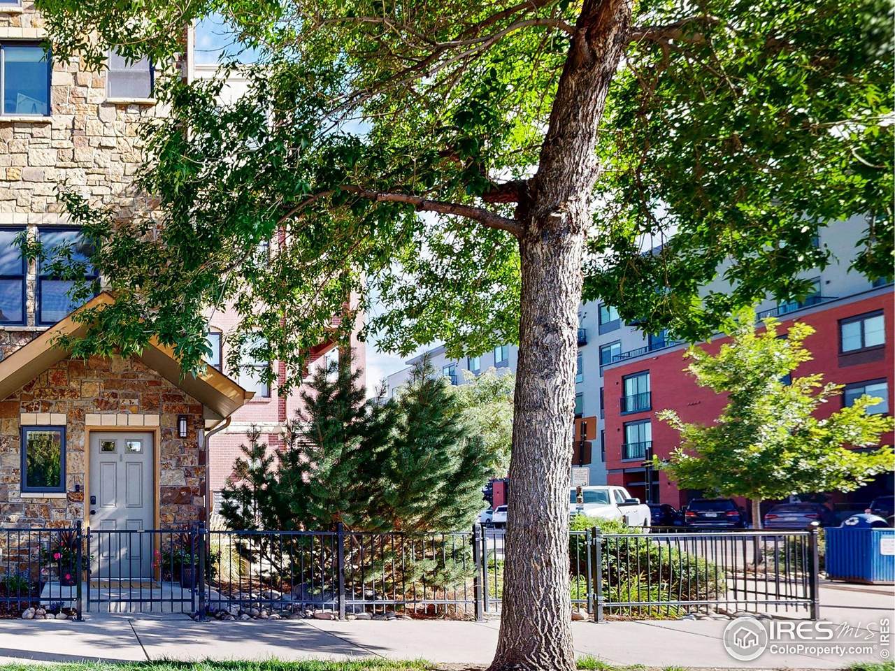 214 Willow St - Photo 1