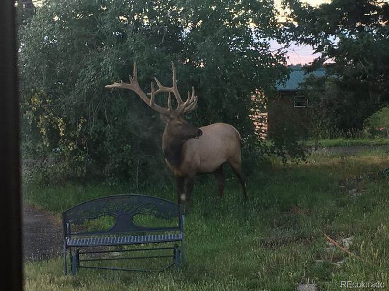 13854 Trail Cir - Photo 1