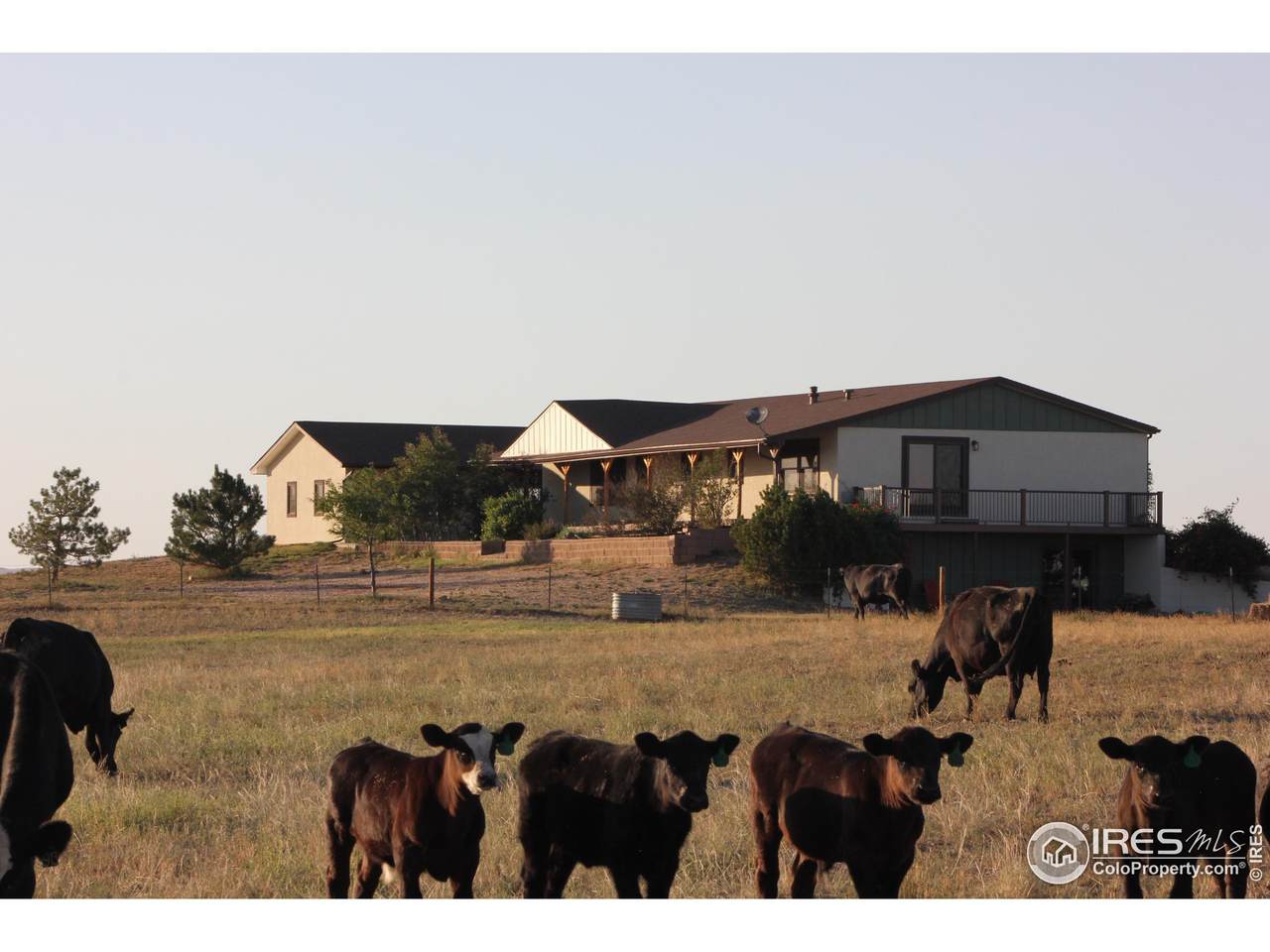 32751 Highway 14 - Photo 1