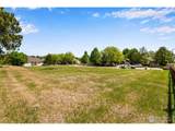 219 Medina Ct - Photo 17