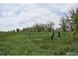 3113 County Road 17 - Photo 3
