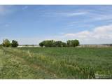 3113 County Road 17 - Photo 4