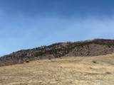 14750 Buckhorn Rd - Photo 37