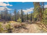 755 Fox Creek Rd - Photo 10