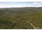 0 Forest Service 169 Rd - Photo 3