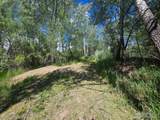 2001 Prospect Rd - Photo 12