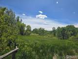 2001 Prospect Rd - Photo 13