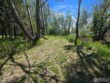 2001 Prospect Rd - Photo 6