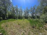 2001 Prospect Rd - Photo 7