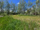 2001 Prospect Rd - Photo 8