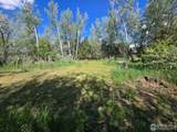2001 Prospect Rd - Photo 10