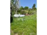 4809 Foothills Dr - Photo 33
