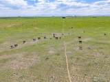 46507 County Road 21 - Photo 7