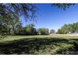 11880 Juniper St - Photo 12