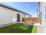 977 Trumpet Ln - Photo 58