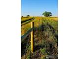 18510 County Road 39 - Photo 40