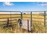 18510 County Road 39 - Photo 43