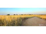 18510 County Road 39 - Photo 50