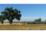 18510 County Road 39 - Photo 61