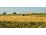18510 County Road 39 - Photo 73