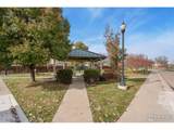 3601 Ponderosa Ct - Photo 24