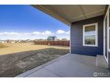1854 Equinox Dr - Photo 30