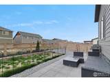 6641 6th St - Photo 31