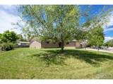 315 Indiana Ave - Photo 2