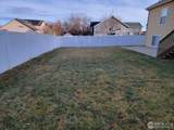 701 62nd Ave Ct - Photo 4