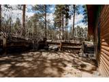 1026 Lexington Ln - Photo 41