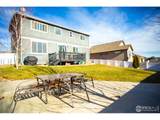 3312 Tupelo Ln - Photo 42