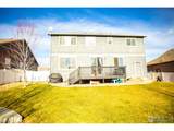 3312 Tupelo Ln - Photo 43