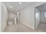 439 Bluebird Rd - Photo 26