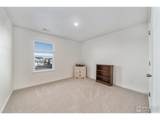 439 Bluebird Rd - Photo 27