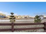 439 Bluebird Rd - Photo 32