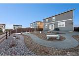 439 Bluebird Rd - Photo 34