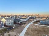 439 Bluebird Rd - Photo 35