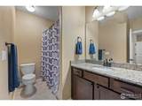 4135 Carroway Seed Dr - Photo 29