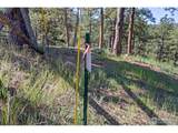 3561 Sunshine Canyon Dr - Photo 29