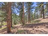 3561 Sunshine Canyon Dr - Photo 7