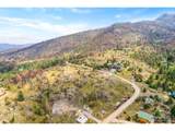 981 Palisade Mountain Dr - Photo 12