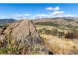 981 Palisade Mountain Dr - Photo 4