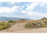 981 Palisade Mountain Dr - Photo 5